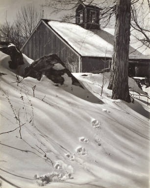 Winter Idyll from Connecticut