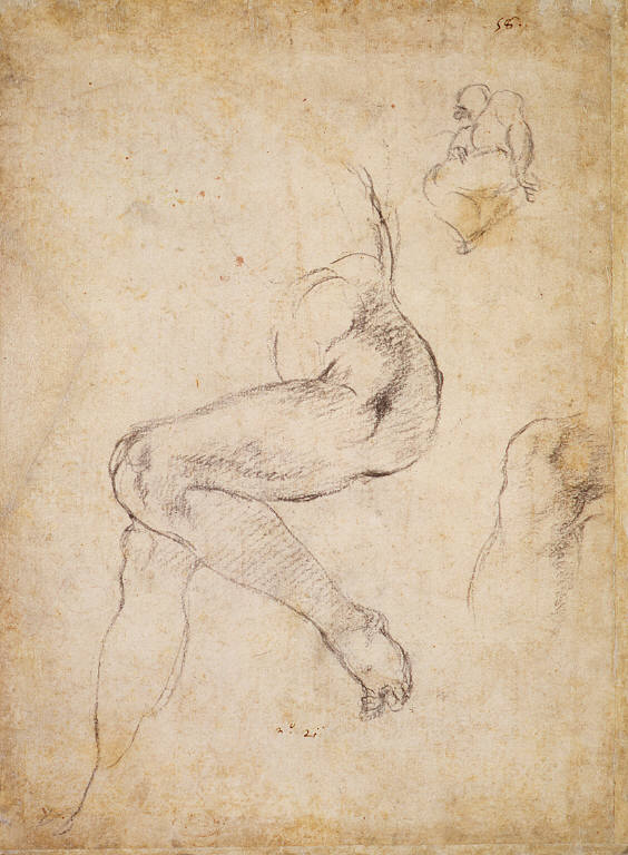 Sheet of Studies for the Libyan Sibyl