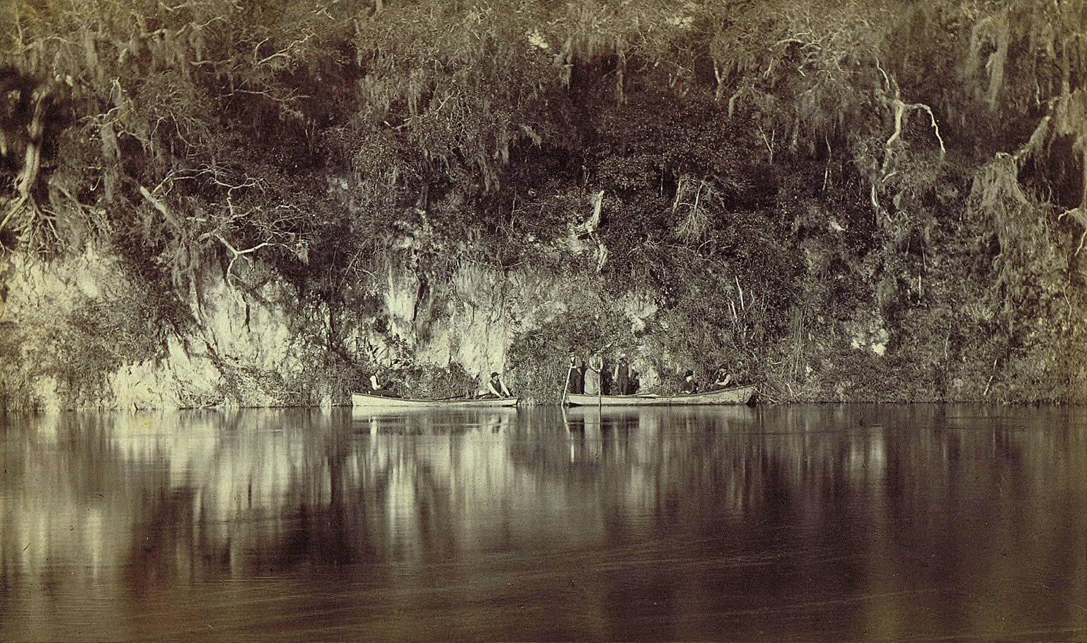 Under the Bluffs of the Withlacoochee River, Florida