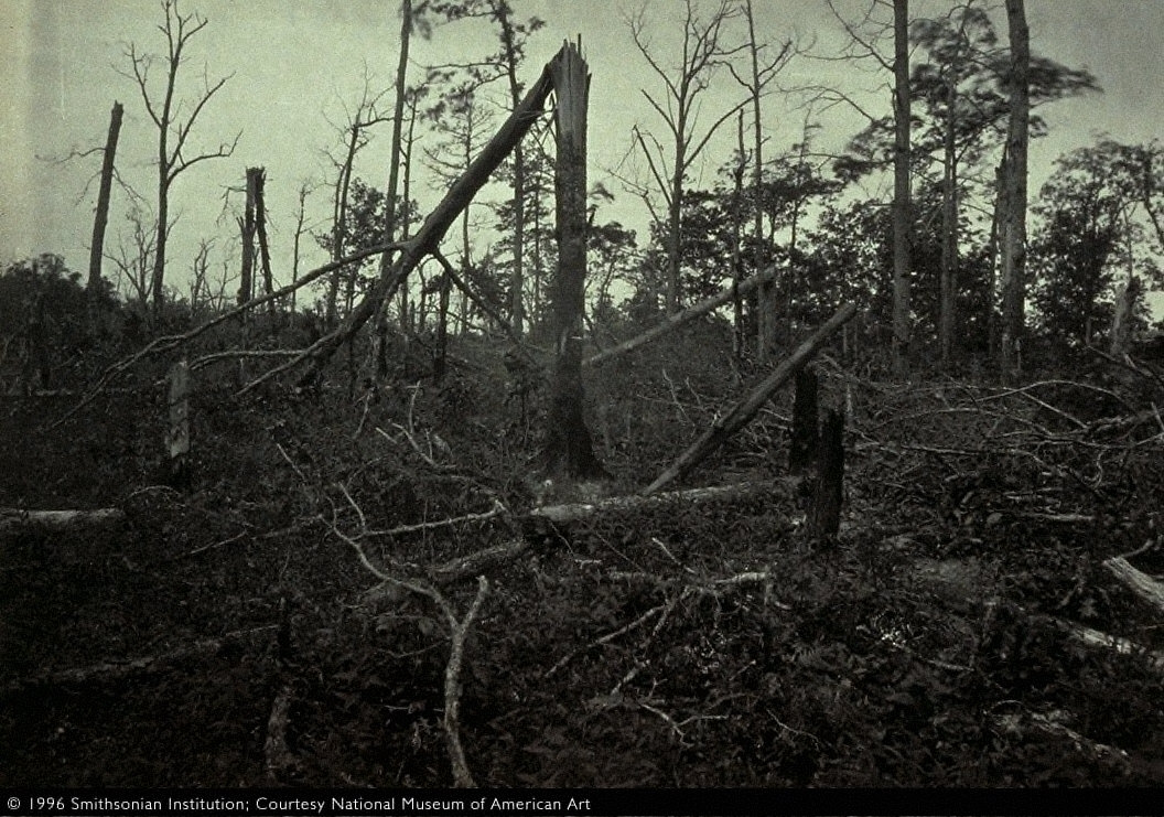 The "Hell Hole", New Hope Church, Georgia, from Photographic Views of Sherman's Campaign, plate27