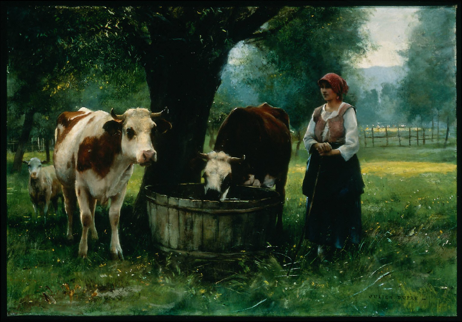 Young Woman Watering Cattle