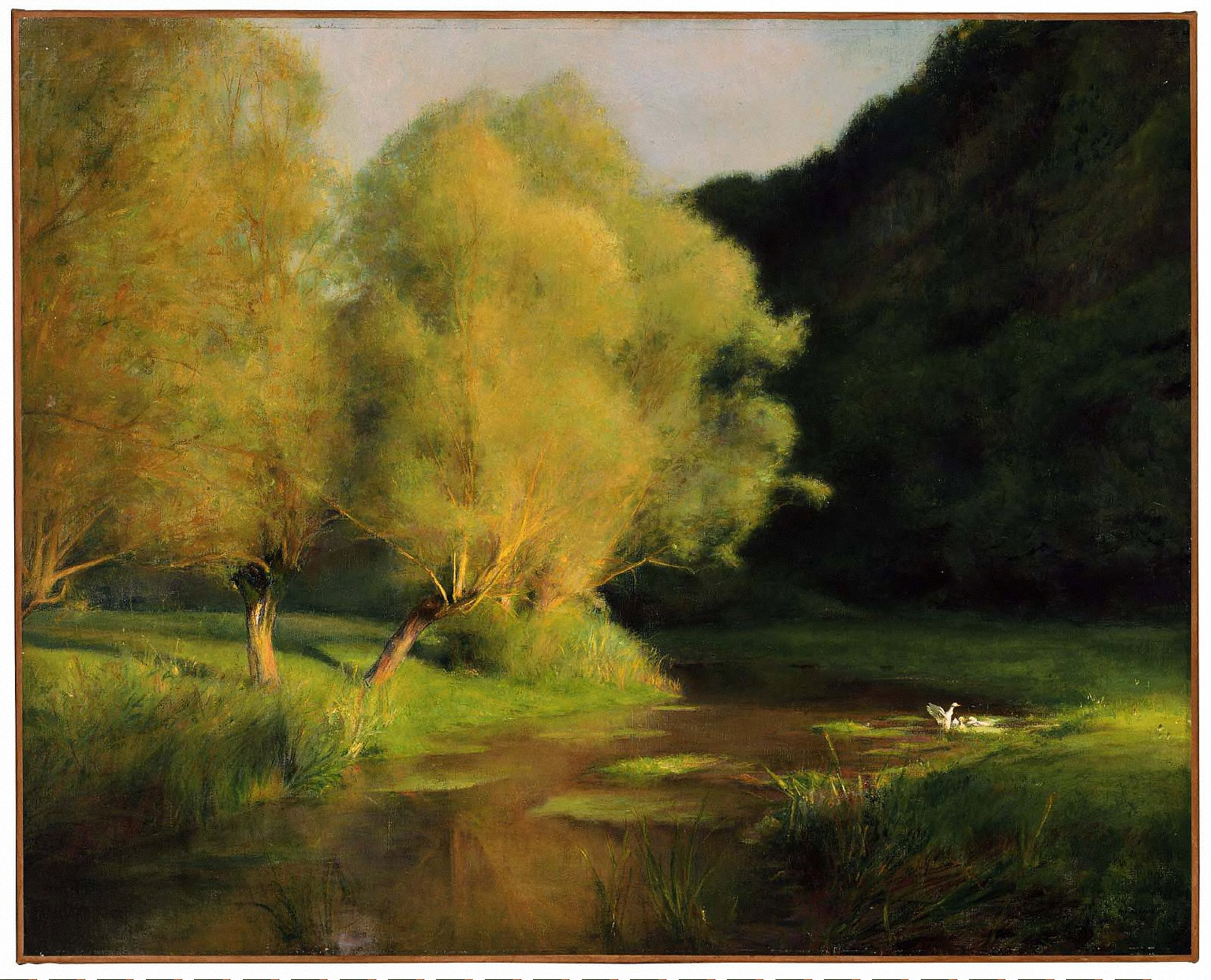 Willows by a Stream