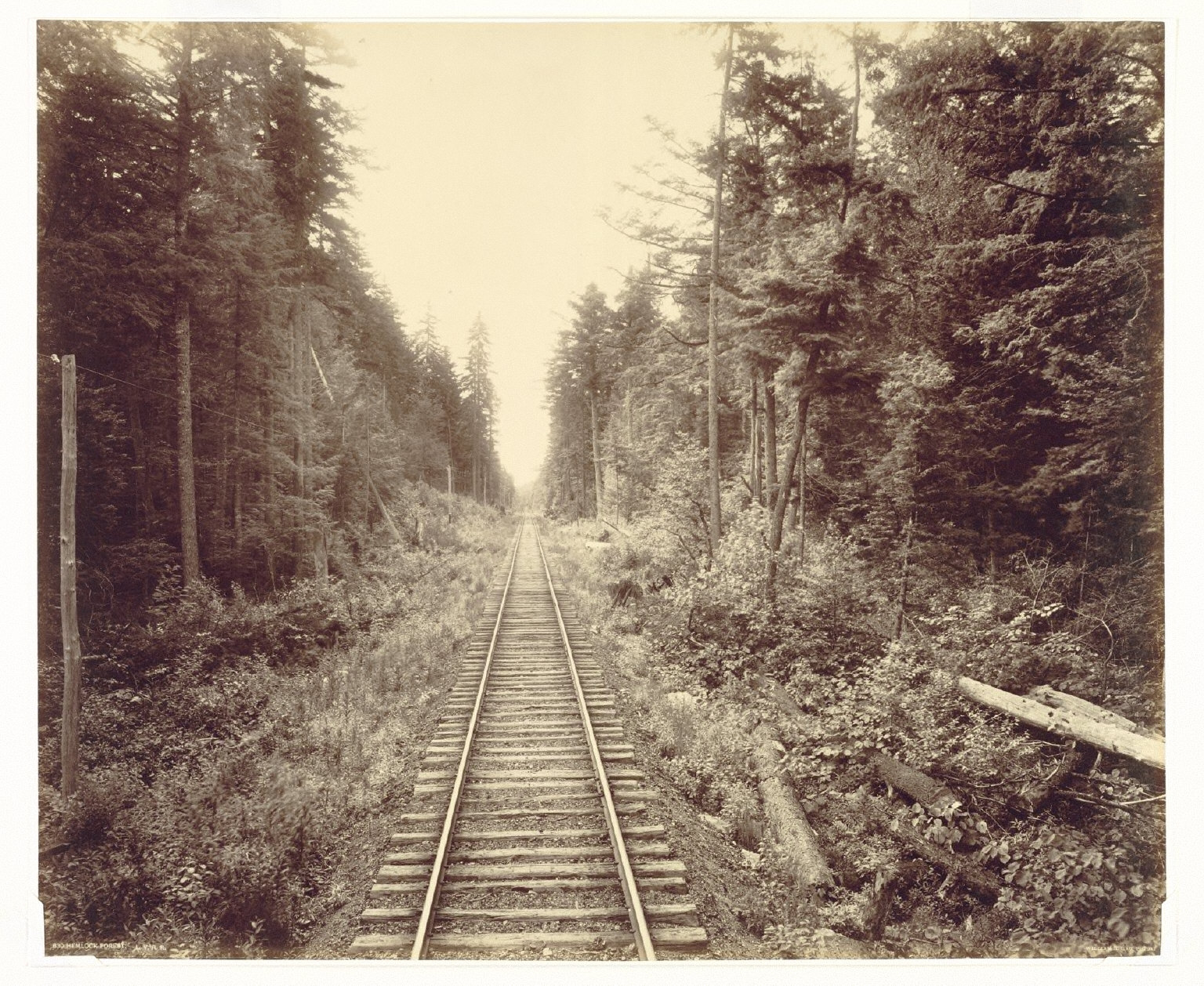 Hemlock Forest, Lehigh Valley Railroad