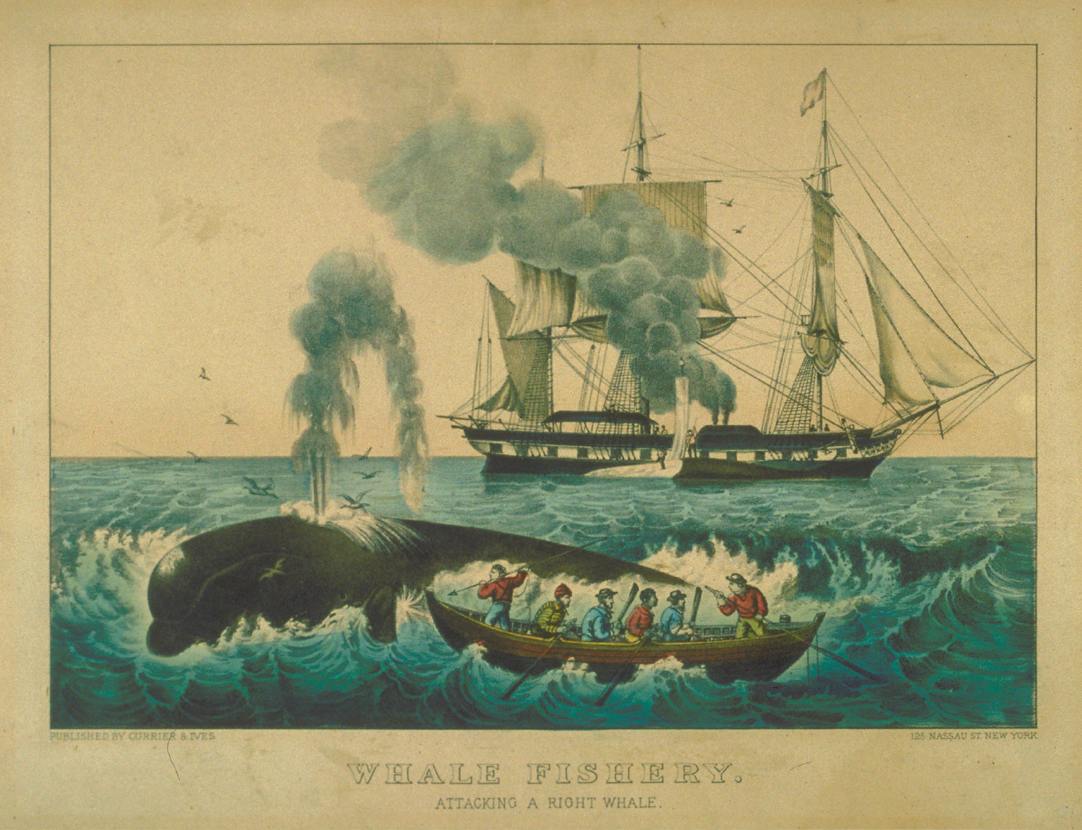 Whale Fishery. Attacking a Right Whale.