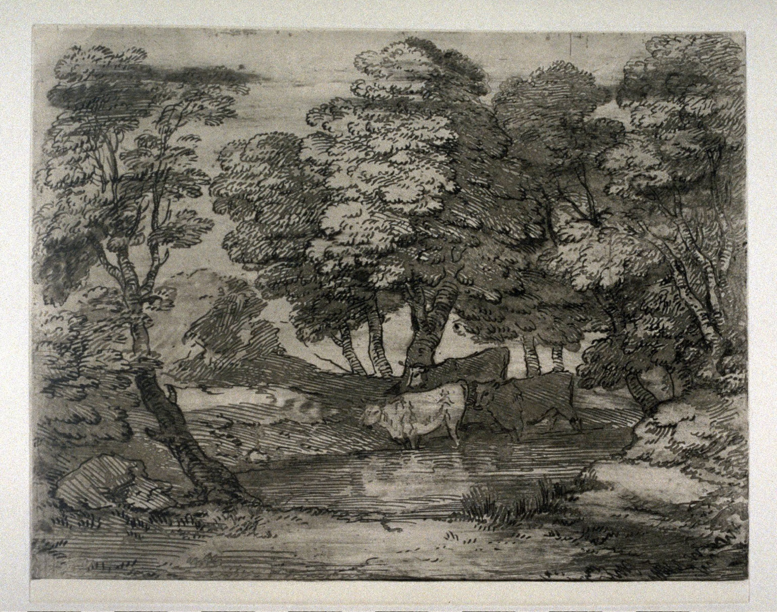 Wooded Landscape with Three Cows at a Pool