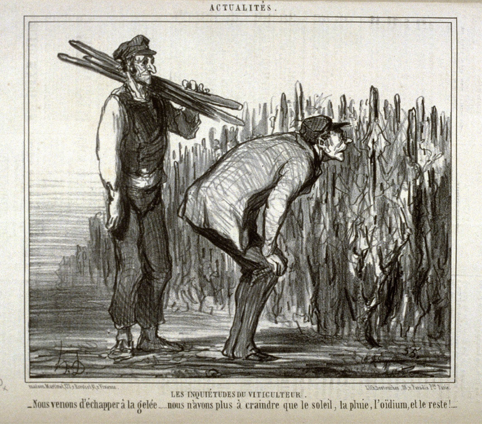 Les inquiétudes du viticulteur, no. 395 from the series Actualités published in Le Charivari 7 May 1857