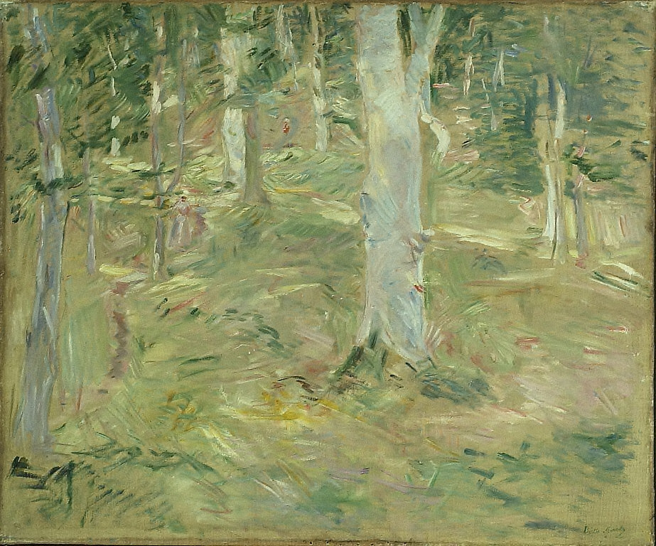 Forêt de Compiègne