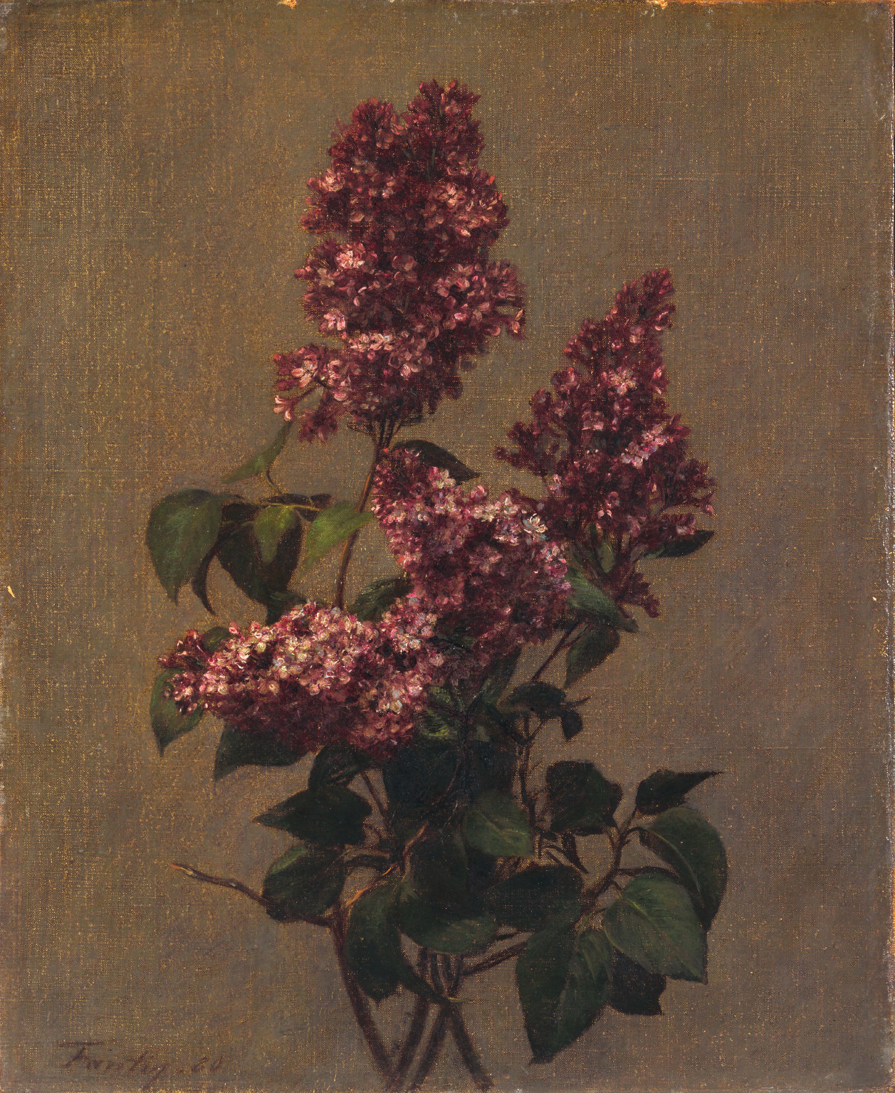 Spray of Purple Lilac