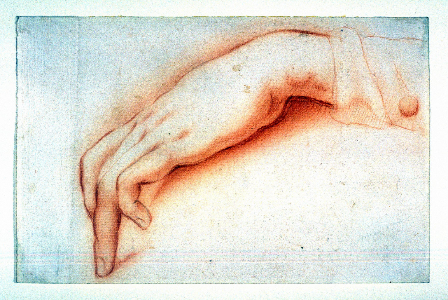 Study of a Hand