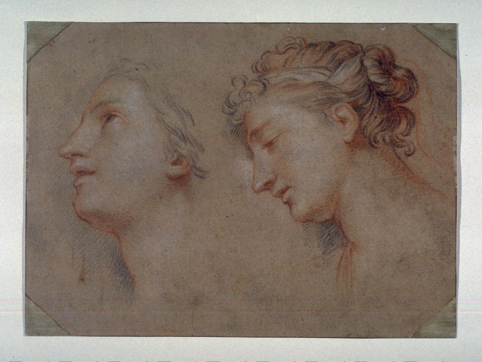 Studies of a Female Head