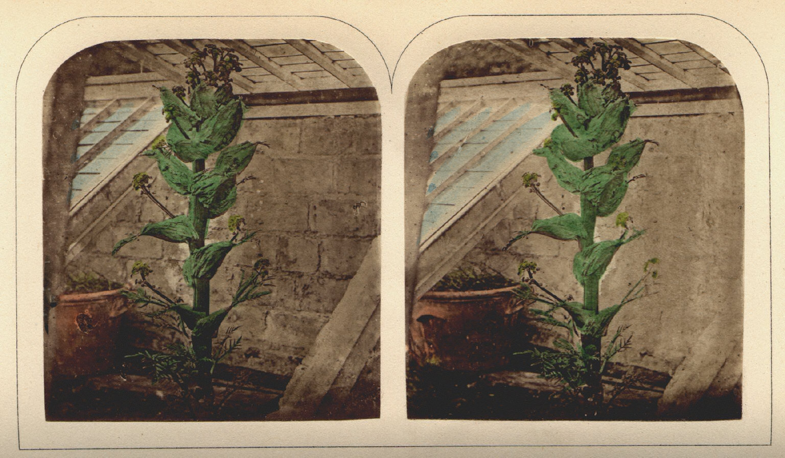 "The Stereoscopic Magazine: a Gallery of Landscape Scenery, Architecture, Antiquities, and Natural History", 1858